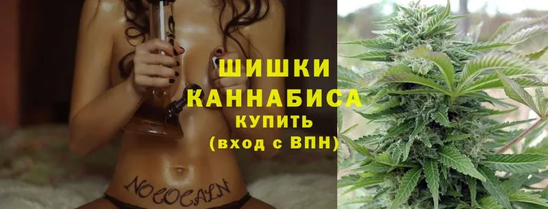 Бошки Шишки THC 21%  наркошоп  Мытищи 